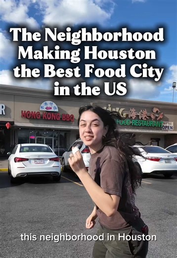 Houston's Asian Food Scene: Bellaire Tested