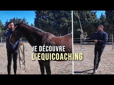 Premier équicoaching : je teste pour vous