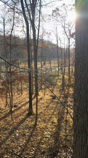 May the Great Spirit of the Wild cleanse our souls & fortify our spirits forever! Get out there & let the nature healing drive you wild! | Ted Nugent