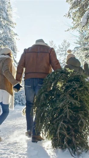 Christmas is more than a season—it’s a feeling. It’s shared meals, sweet traditions, and the comfort of being home together. At Window & Bath Expo, we take pride in helping homeowners create the best home they can—one built for moments like these. Merry Christmas and Happy Holidays from all of us at Window & Bath Expo. ❤️ | Window Expo Cleveland