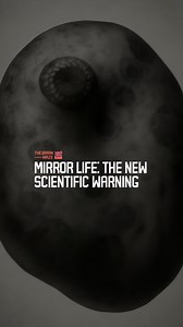 Mirror Life: The New Scientific Warning - What if science created life’s dark reflection? Inspired by studies published in Science, this video explores the growing fear surrounding the rise of mirror life. | The Brain Maze