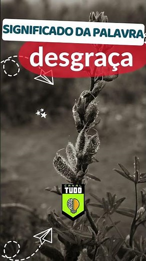 Meaning of the word disgrace #portugueselanguage #grammar #noun #pronouns #portuguese