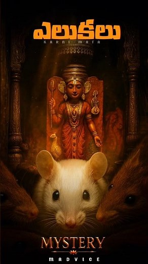 Inside India's Rat Temple: 25,000 Sacred Rats! 🐀✨
