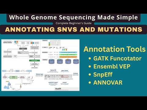 WGS Analysis for Beginners Part 3: Annotating SNVs and Mutations with Multiple Tools