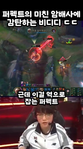 퍼펙트의 미친 암배사에 감탄하는 비디디 ㄷㄷ