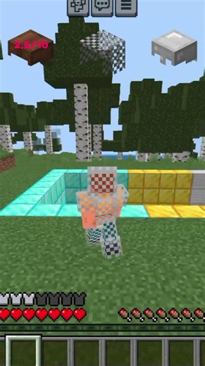 Which armor preserves the most hearts of health? #recommended #minecraft #challenge