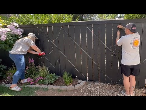Installing Espalier Honeysuckle On My Fence With Janey 🪴 || Visit Our Garden