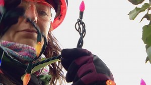 So. Many. Lights. Could you imagine wrapping all of them! Find out how Zoolights gets it done each year: www.cbc.ca/1.5321982 | CBC Calgary