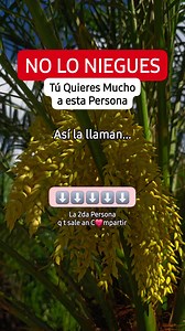 Tú Quieres Mucho a esta Persona NO LO NIEGUES Ideas Express @fansdestacados | Ideas Express