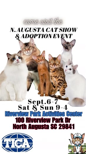 55K views · 320 reactions | This weekend in the Augusta area, a TICA...