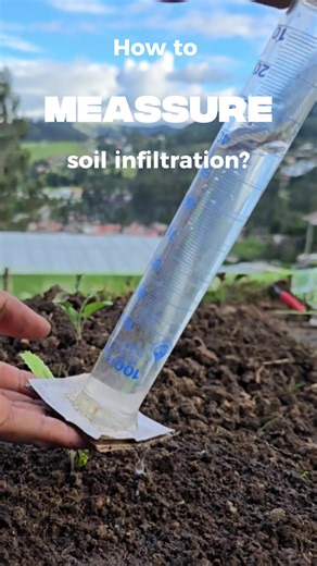Measure Soil Infiltration Rate with a Simple Test