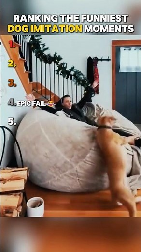 Ranking The Funniest Dog Imitating Moments