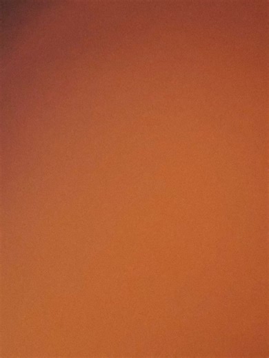 Taylor Sheesh on Reels