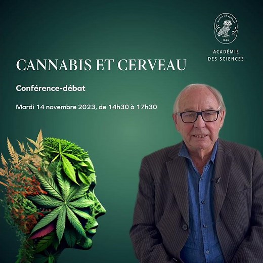[Conférence-débat] Cannabis et cerveau