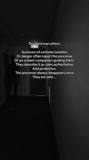 Exploring the Third Man Effect in Survival Situations
