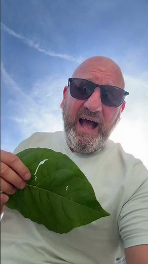 41 c’est pas une température … #canicule #chaleur #chanson