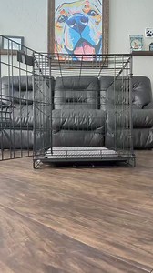 3.9K views · 107 reactions | Cody  ✨Wait & Crate Training✨ Using the crate to start learning a little patience with the Wait command. We've practiced this before, but now I'm adding a verbal command to it. The puppies have different abilities to focus, but they all did their best 凉 | SW Retrievers | Facebook