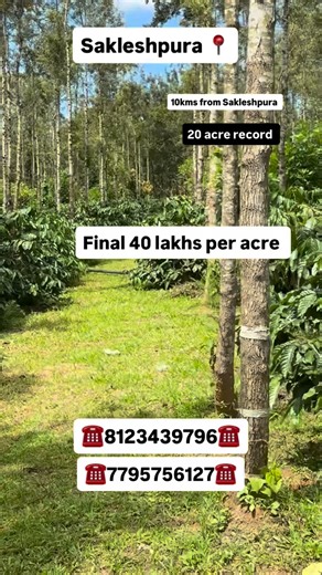 Namma Sakleshpura Realestate on Instagram: "Sakleshpura  Property ID 185 10kms from Sakleshpura Price :-40 lakhs per acre Cal /wtspp 8123439796 #sakleshpur #chikkamagaluru #river #stream #water #banglore #mysore #bengaluru #sales #sale #buy #buyer #home #agriculture #land #lease #sold#exchange #sakleshpura #realtor #realestatesales #coffee #landscape #land"
