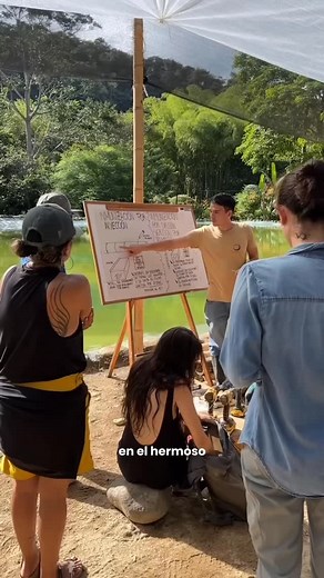 TACUARA: Diseño en Bambú on Instagram: "¡Sabemos que quieres aprender sobre bambú y arquitectura orgánica! Aquí te contamos todas las posibilidades para participar en nuestra Inmersión en el Mundo del Bambú Vive una experiencia transformadora y llena de aprendizaje del 8 al 18 de enero en San Rafael, Antioquia, Colombia ¿Ya te inscribiste? Aún estás a tiempo, escríbenos para recibir toda la información y ven a descubrir el arquitecto que hay en ti "