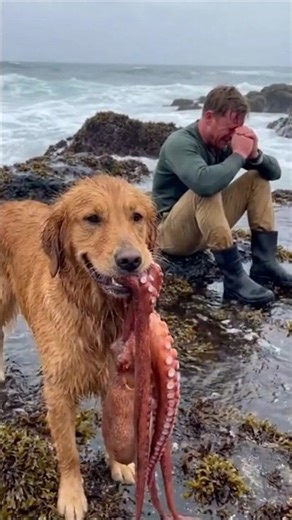 This Dog Is Braver Than His Owner 💀 #shorts