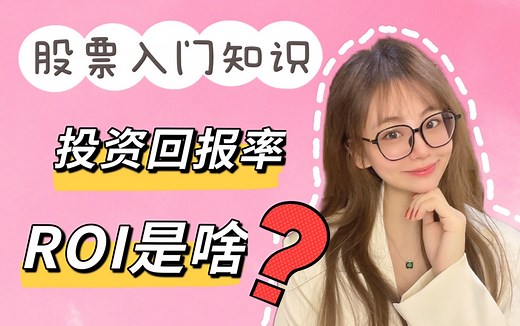 【股票入门】3. ROI是啥？投资回报率是什么？
