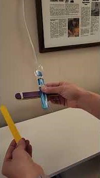 Engineer a Catapult in Minutes: Science Experiment for Kids