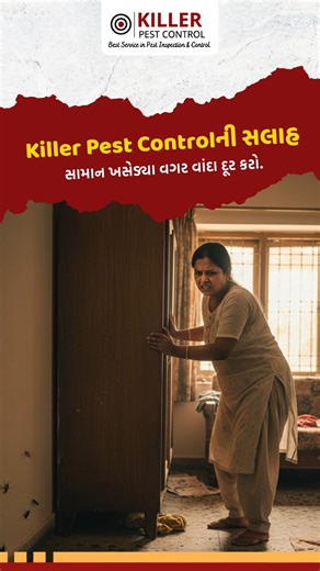 Pest Control Services in Surat on Instagram: "Small signs don’t mean a small pest problem. Seeing fewer pests does not mean the issue is minor. If ignored, pests can spread quickly and cause serious damage. The benefit of early treatment? In many cases, chemical spraying is not required at the beginning. When infestation is limited, you can get eco-friendly pest control in Surat without shifting furniture or disturbing your daily routine. Killer Pest Control is a trusted pest control company in 