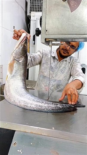 wow beautiful river giant Boal fish 🐟🐟 cutting skills video 🔥⛵ fish cutting show #youtubeshorts