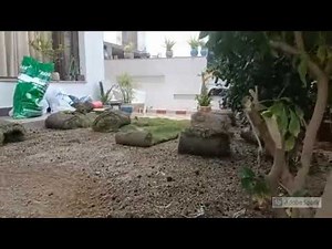 How to install Natural Lawn grass?