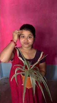 ঘুম থেকে উঠে আমাকে সংসারে এত কাজ করতে হয় যে আমি আমার গাছগুলোর যত্ন নিতে পারি না 🙂#minivlog