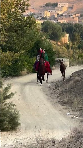 Horsewoman of the Bakhtiari Plains