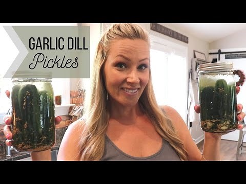 Garlic Dill Pickles || Easy, No Canning! || Refrigerator Pickles