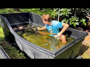 NETTING MYSTERIOUS CREATURES LIVING IN GREEN-SLUDGE POND ! WHAT IS IT ?!