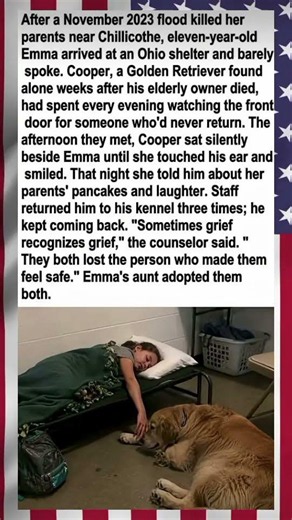 Sometimes Grief Recognizes Grief: The Heartwarming Story of Emma and Cooper