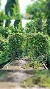 6.9M views · 106K reactions | 7 Days, 50 Hours, A Forgotten House – See the Full Cleanup After a Decade of Ruin #clean #cleaning #cleaninghouse #cleaningteam #housekeepingteam | Clean The Old House | Facebook