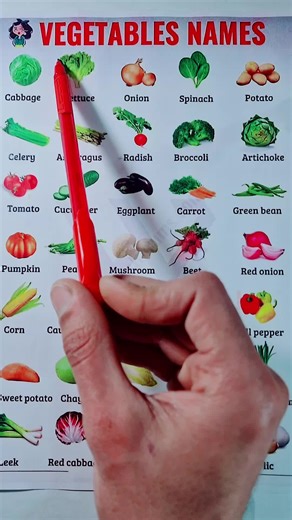 Learn English Quickly with Easy Lessons