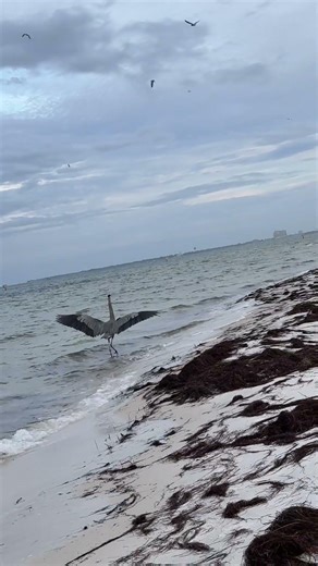 Change your negative thoughts to positive ones and you will start having positive results.