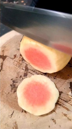 Jambu Biji Merah #asmrsounds #shortvideo #jambubiji