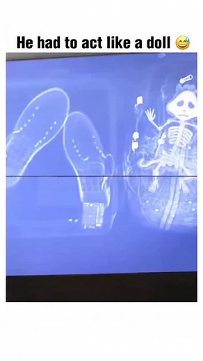 StreamSnipss🚀 on Instagram: "Movie: Alvin and the Chipmunks (2007) 🎥 (Animation / Family / Comedy) 1h 32min Director: Tim Hill Cast: Jason Lee, Ross Bagdasarian Jr., Janice Karman Description: “Alvin and the Chipmunks” follows the misadventures of three singing chipmunks—Alvin, Simon, and Theodore—who move in with struggling songwriter Dave (Jason Lee). When their musical talents are discovered, the chipmunks rise to fame but soon learn that fame comes with its own challenges and responsibilit