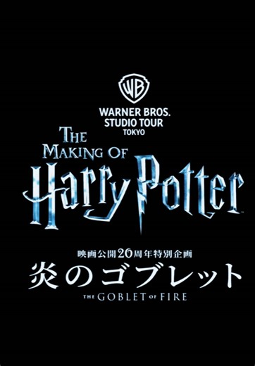 Muggle's Magical Journey to Hogwarts Experience