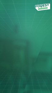 Forest Interactive on Reels