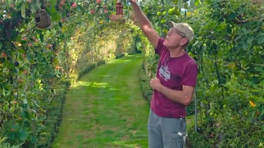 This is an incredibly inspiring fruit (and pumpkin) tunnel. A South African in the UK shares his passion for growing. | Jane's Delicious Garden