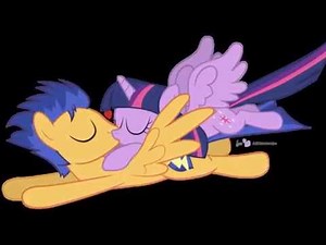 mlp twlight and flash tribute