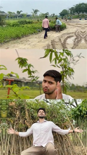 🛑 1st SUB = 1 TREE 🌳 | The Trees We Plant This Monsoon Matter 🌧️☀️ #shorts #flora #explore