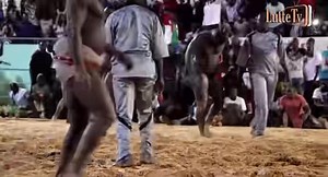 FRANC LE CHAMPION | Coachngom