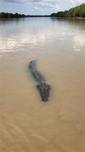 One of the BEST things to do when you are in Middle Point,NT🇦🇺 #explorereels #reels #explorepage #explorerpage #australia #darwinnt #explore #travel | Touring Places