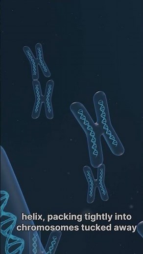What Is DNA ?