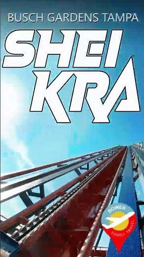 SheiKra POV: Would you ride this in Tampa? Busch Gardens Tampa