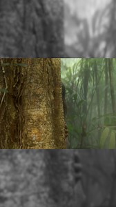 My dear friend Vari, the great musician, has released a new song HARIVAA JHARI. Check it out; it's one of the best videos. Best wishes to the entire team. | Stephen Devassy