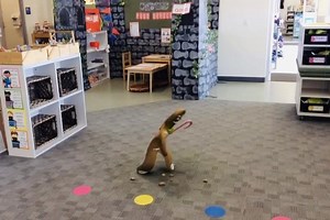 6.2K views · 53 reactions | If you’re looking for a way to blow your...